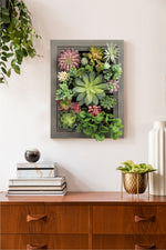 Nattol DIY Artificial Succulent Frame