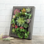 Nattol DIY Artificial Succulent Frame