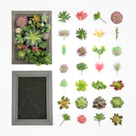 Nattol DIY Artificial Succulent Frame