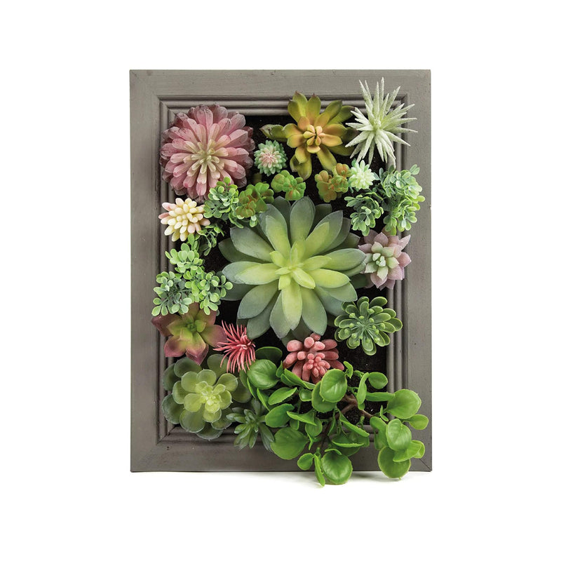 Nattol DIY Artificial Succulent Frame