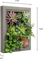 Nattol Artificial Succulent Frame