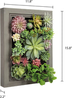 Nattol DIY Artificial Succulent Frame