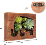 Nattol Artificial Succulent Frame