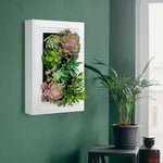 Nattol Artificial Succulent Frame