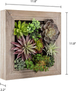 Nattol Artificial Succulent Frame