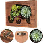 Nattol Artificial Succulent Frame