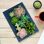 Nattol DIY Artificial Succulent Frame