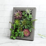 Nattol Artificial Succulent Frame