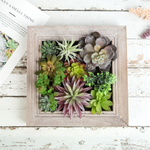 Nattol Artificial Succulent Frame